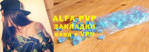 стаф Ростов
