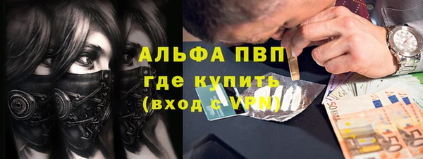 сатива Алексин